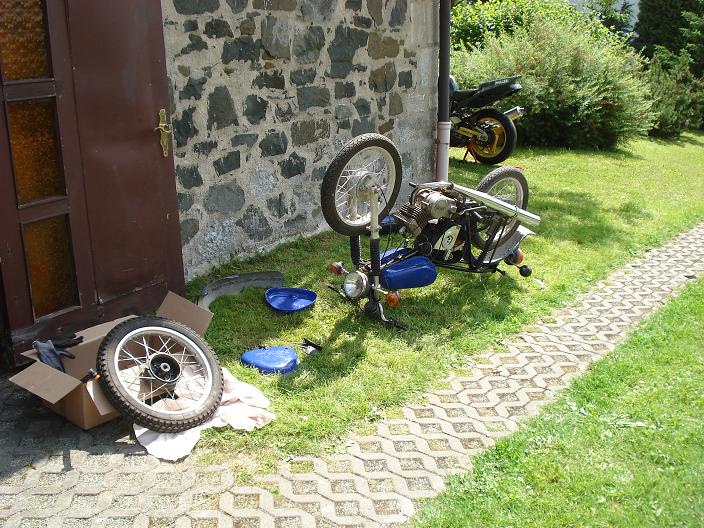 Mopped auf dem Kopf.jpg